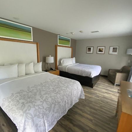 Red Roof Inn Plus & Suites Tampa Bagian luar foto